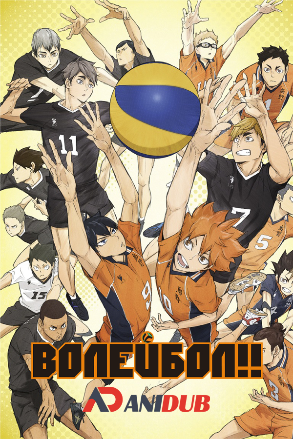 Волейбол!!  ТВ-4/ Haikyuu!! To the Top 2nd Cour [12 из 12]